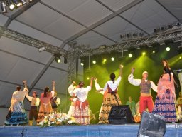 Festival de Folkore en Mula